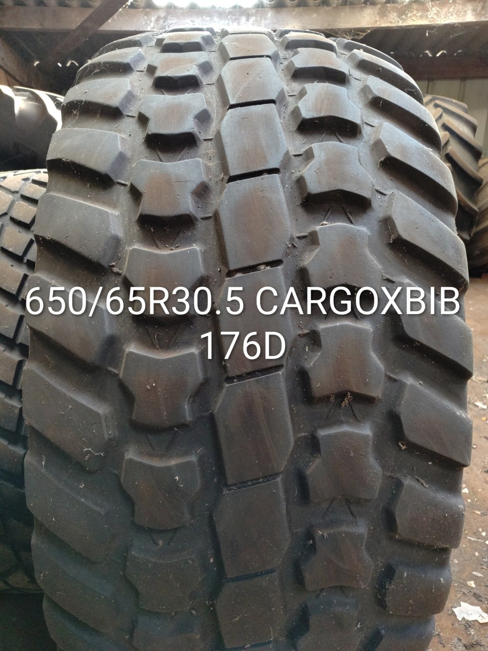 Pneu 650/65R30.5